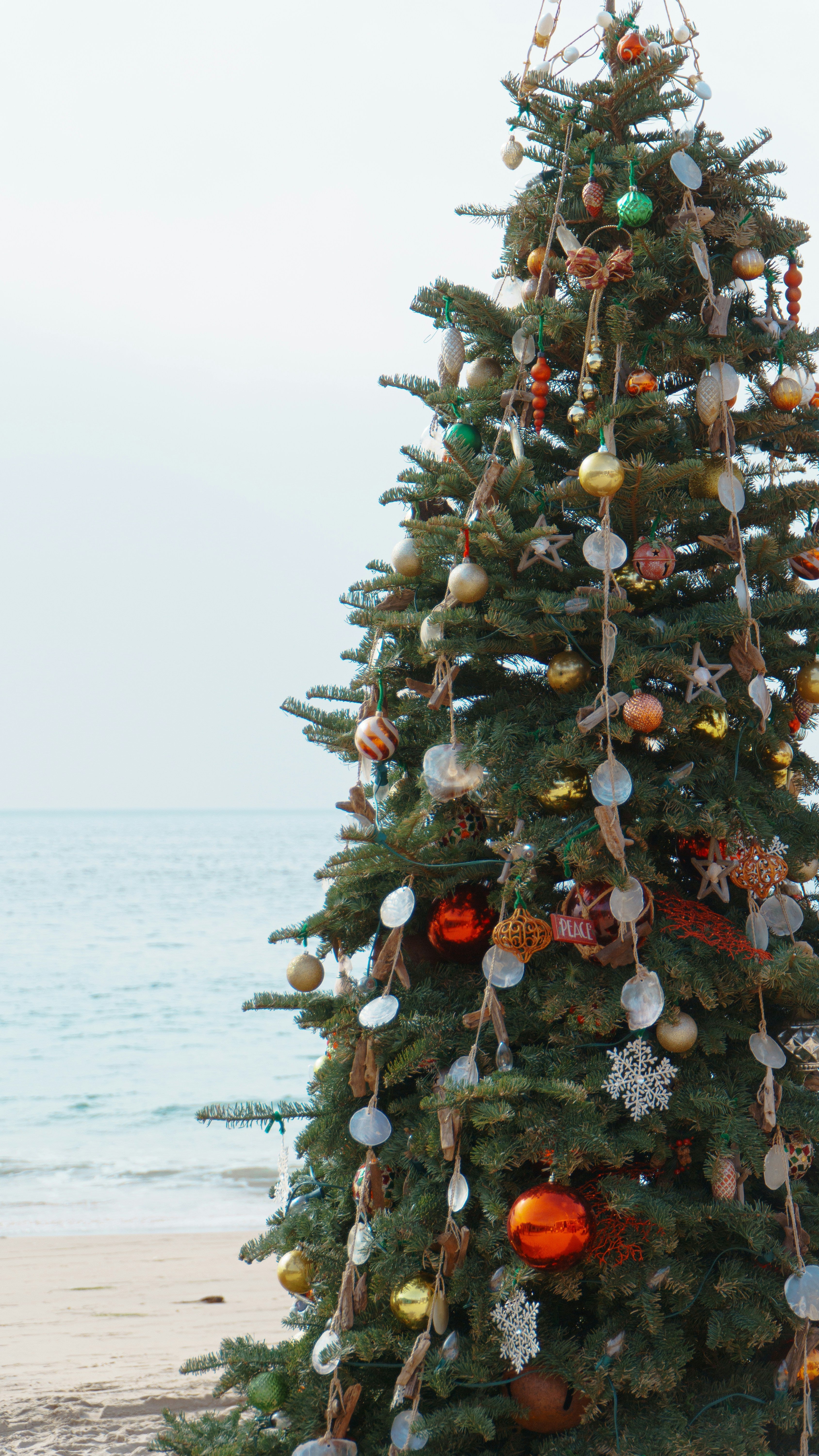 The Ultimate Christmas Gift Guide for Travel Lovers (2025 Edition)