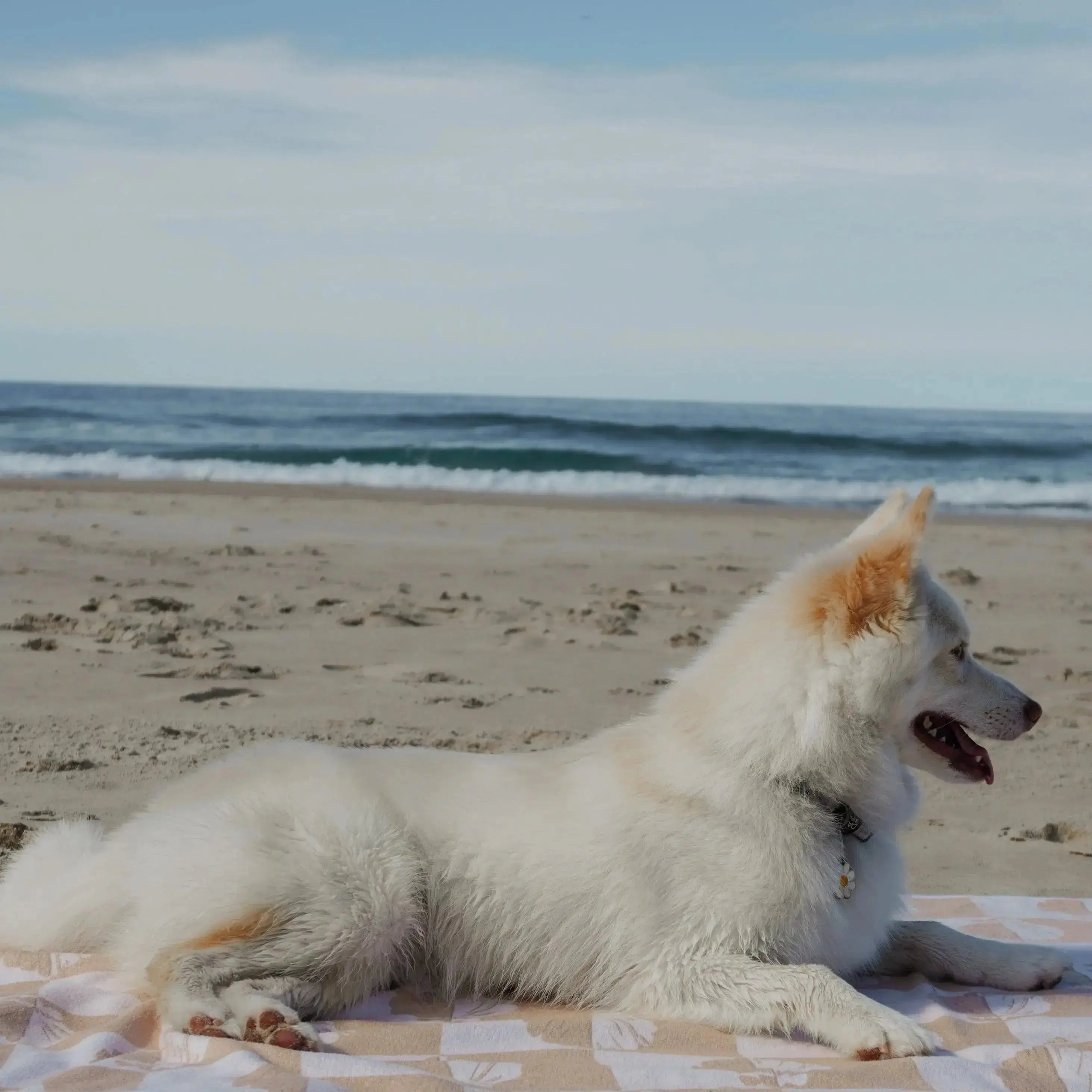Canggu yellow shells beach towel nomadique pockets.png