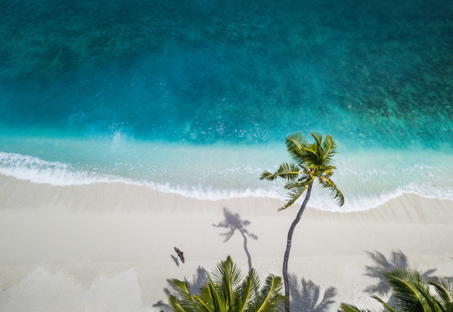 Beach Destinations